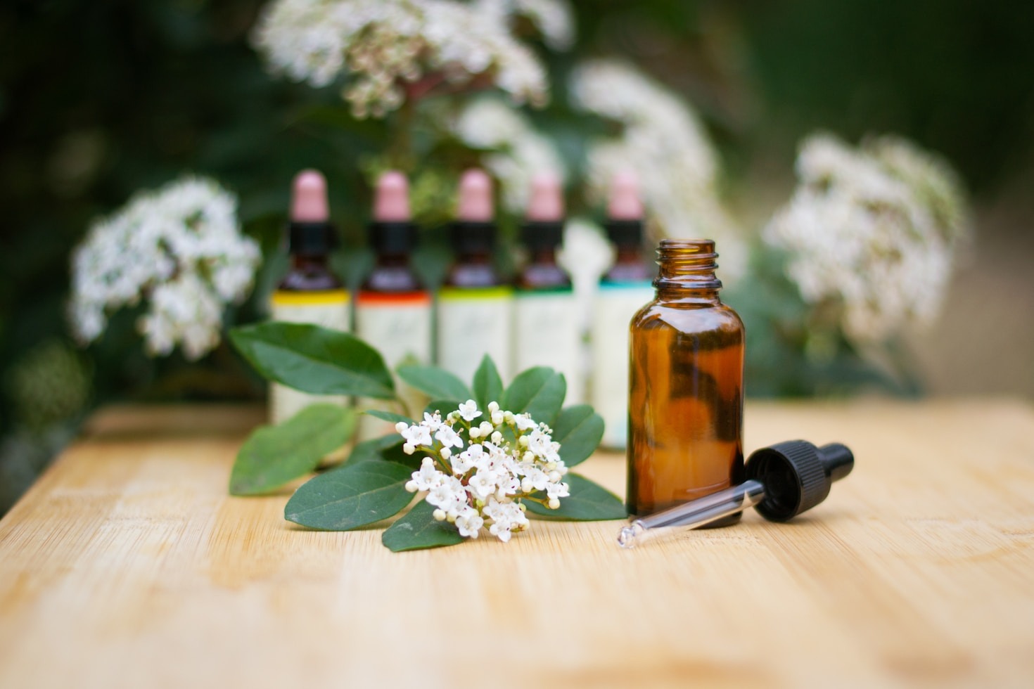 I benefici dell’aromaterapia per i nostri amici a quattro zampe